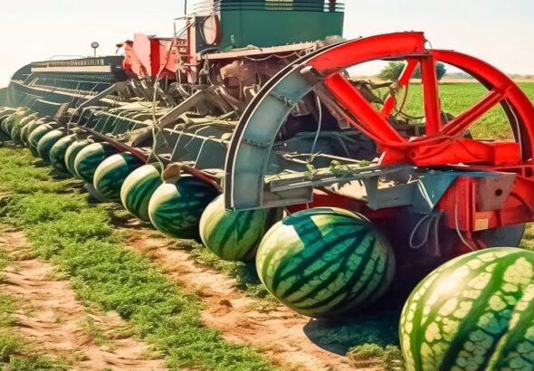 Incredible Agricultural Machinery Operating at Unbelievable Efficiency