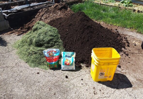 Preparing Soil for Sweet Potatoes: A Step-by-Step Guide April 15, 2024