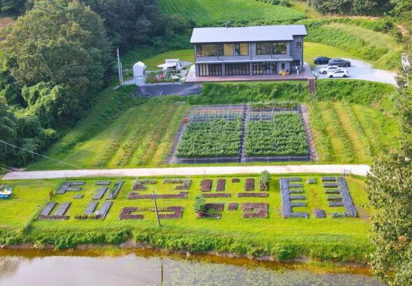 The Revolutionary Korean Farmer Transforming Organic Agriculture – JADAM Farm