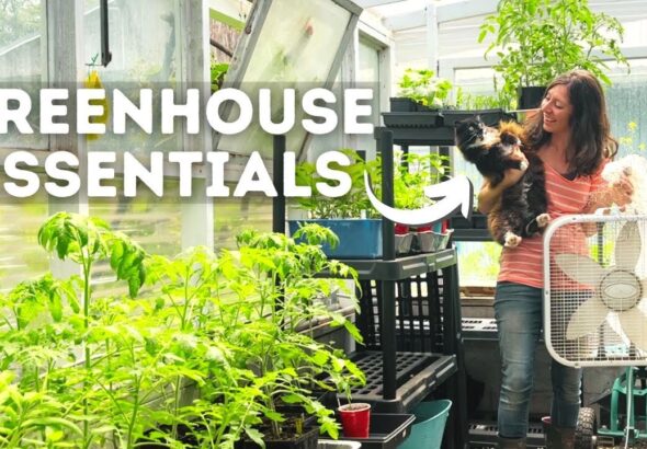 Must-Have Tips and Supplies for New Greenhouse Gardeners