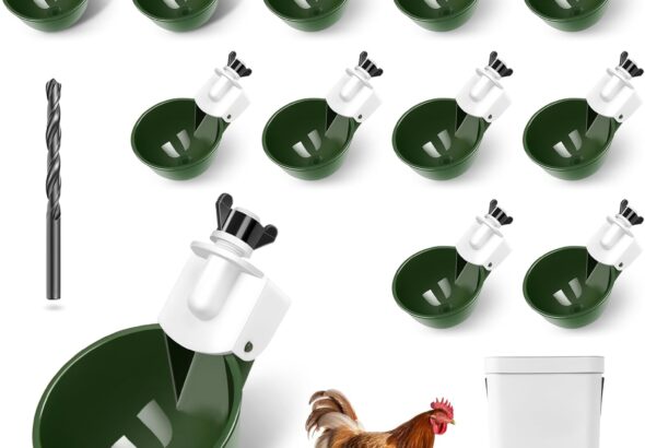 Automatic Chicken Water Cups, 12-Pack (Green)