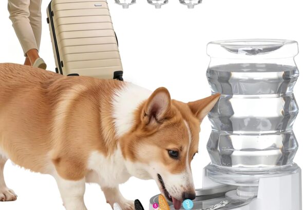 RIZZARI 6.5L Pet Water Dispenser, White Stainless Steel