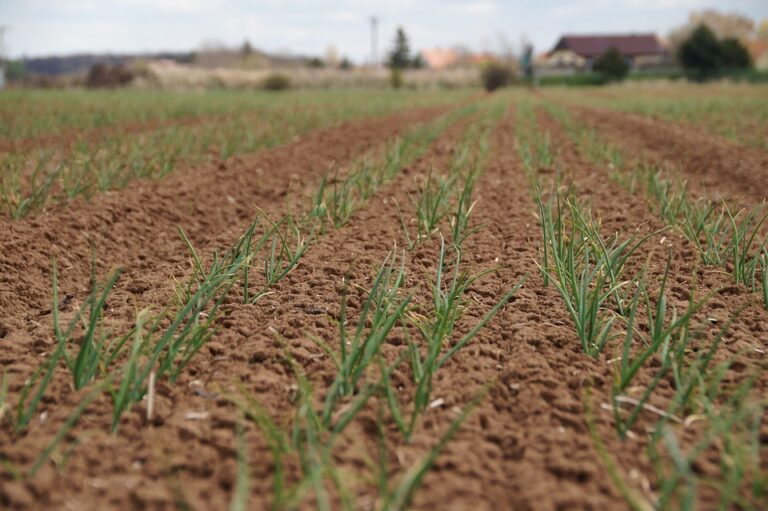 soil fertility management