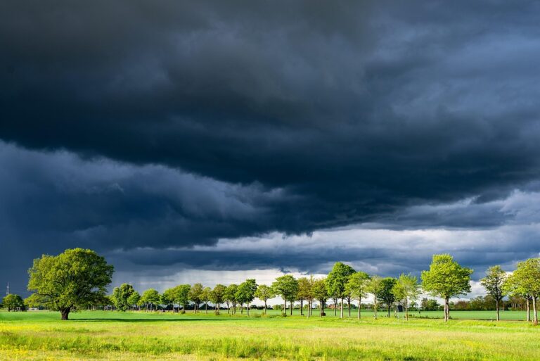 weather based farming