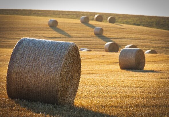 high yield farming practices