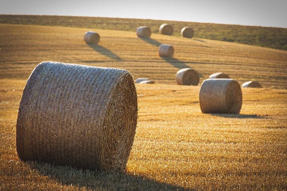 high yield farming practices
