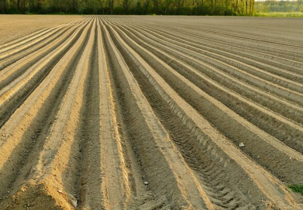 seasonal soil preparation