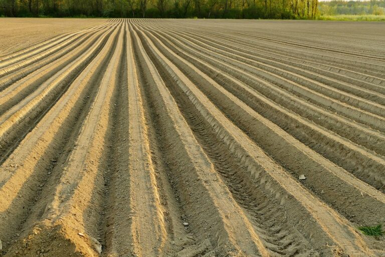 seasonal soil preparation