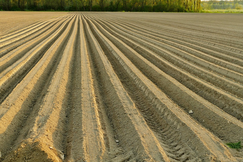 seasonal soil preparation