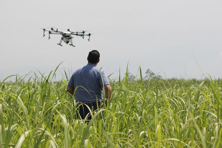 precision agriculture techniques