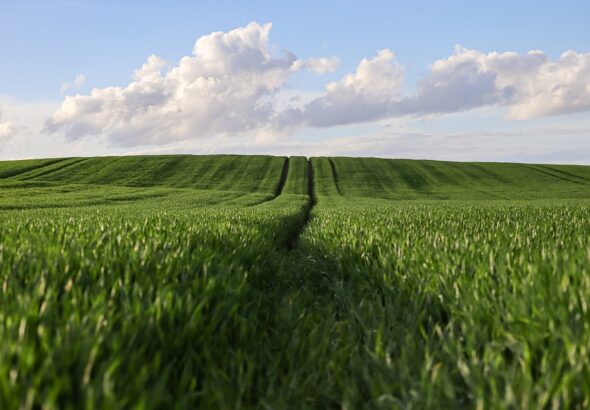 agricultural entrepreneurship