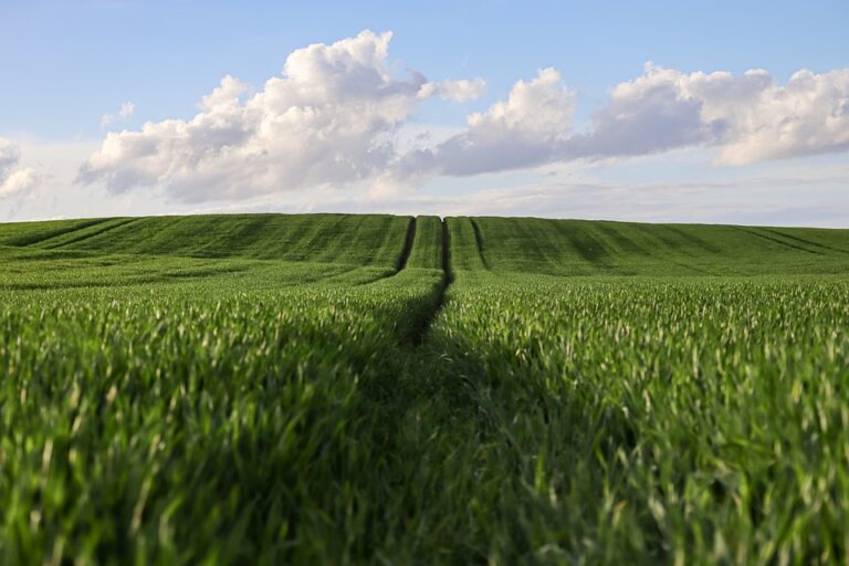 agricultural entrepreneurship