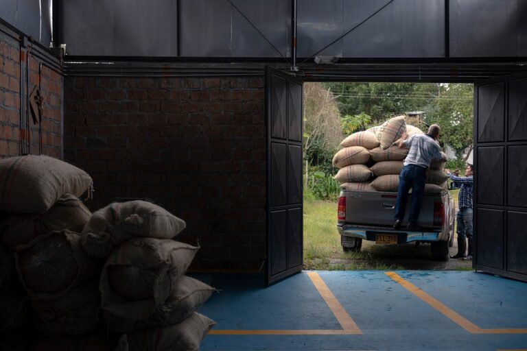 rural business ideas