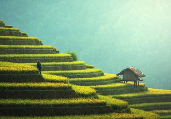 sustainable farming techniques