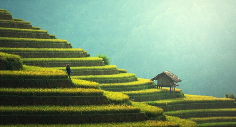 sustainable farming techniques