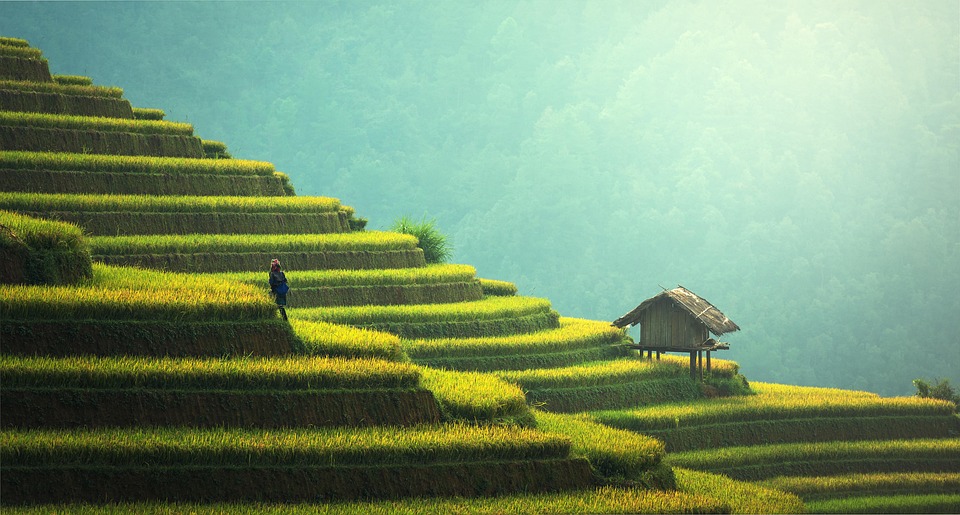 sustainable farming techniques