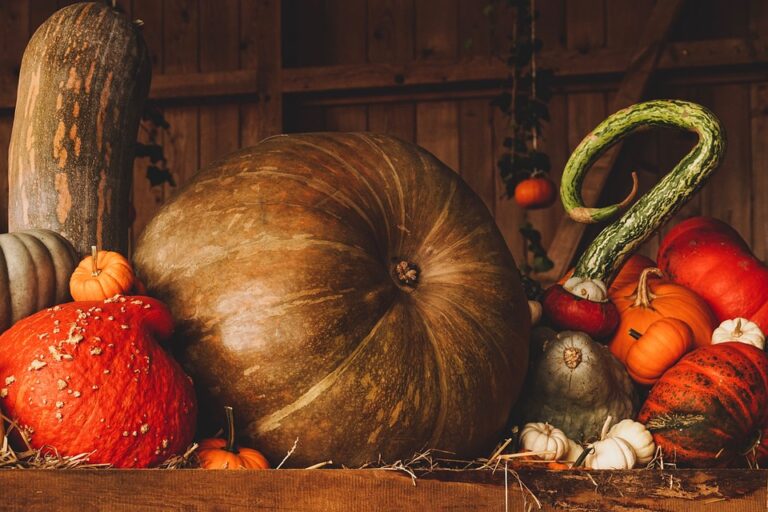 fall harvest guide