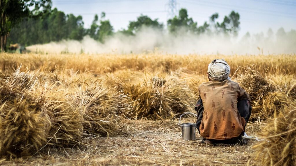 Maximize Yield with Climate-Based Crop Planning