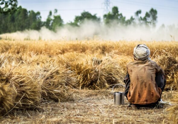 Maximize Yield with Climate-Based Crop Planning