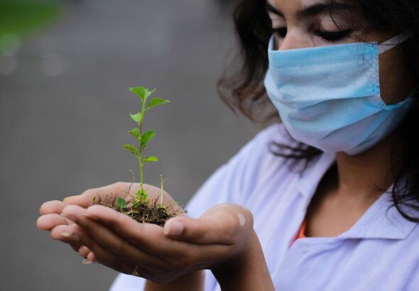 Boosting Soil Health: Regenerative Farming Techniques Unveiled