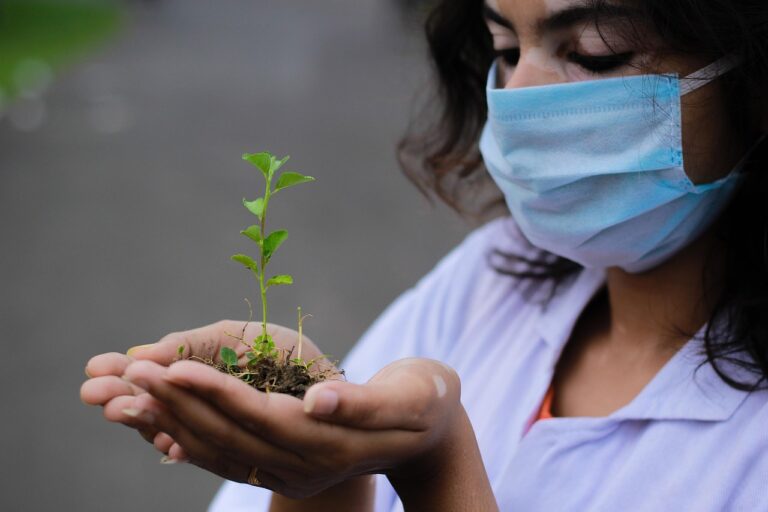 plant-6257392_1280