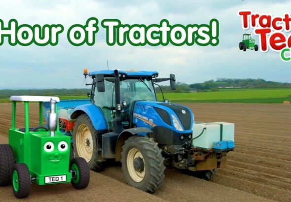 60 Minutes of Giant Machines for Tractor-Loving Kids! 🚜 Official Tractor Ted