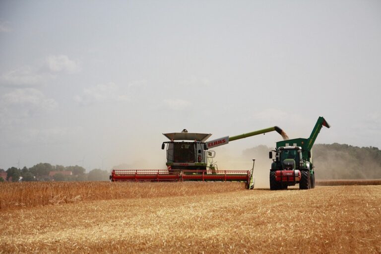 farm productivity tips