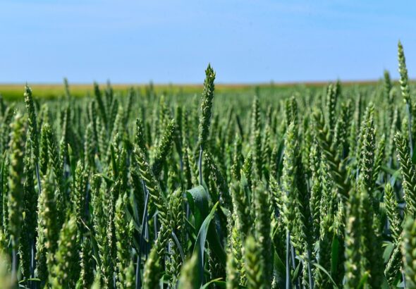 crop protection by season