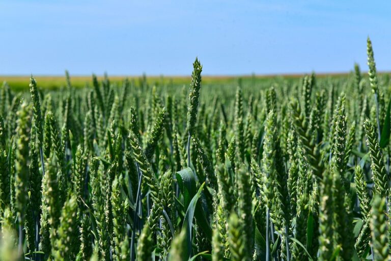 crop protection by season