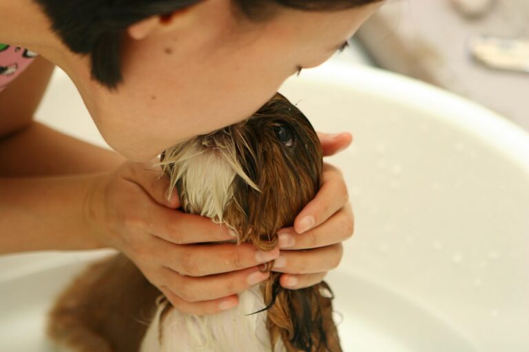 animal hygiene practices