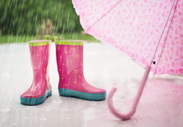 rainy season farming strategies