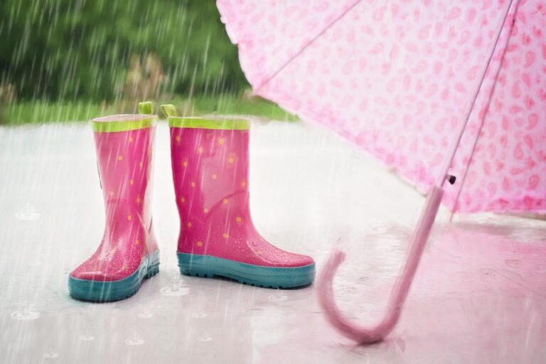 rainy season farming strategies