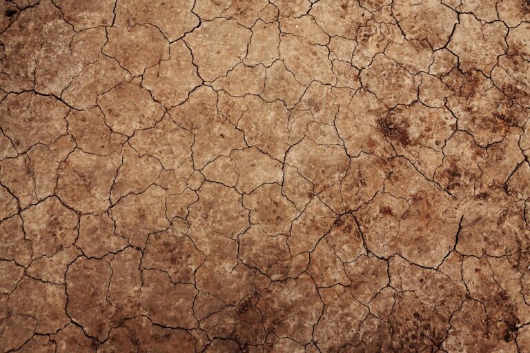 soil erosion control farming