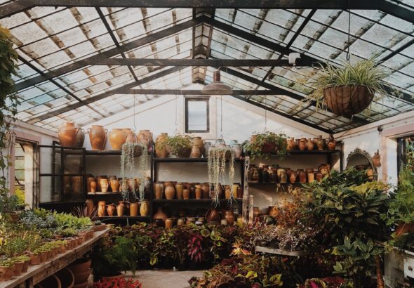 Master Seasonal Greenhouse Management for Optimal Yields