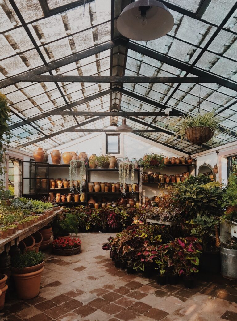 ninikvaratskhelia-greenhouse-5095328